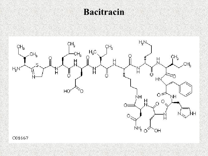 Peptide Antibiotics